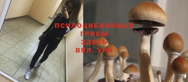 mdpv Горняк