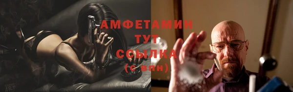 таблы Гусев