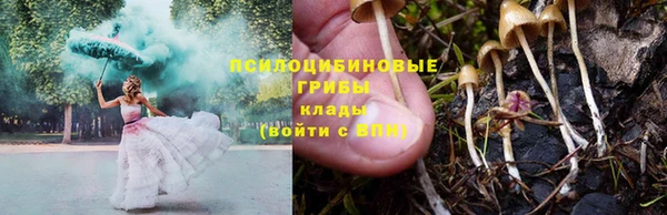 spice Горнозаводск