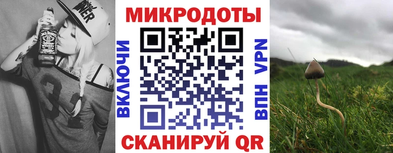 это наркотические препараты  где купить наркоту  ссылка на мегу ССЫЛКА  Вилючинск  Галлюциногенные грибы прущие грибы 